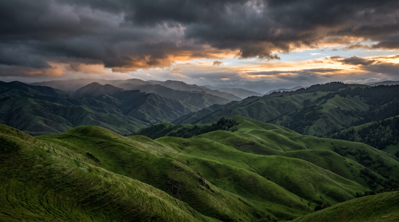 Grassland foothills under storm light