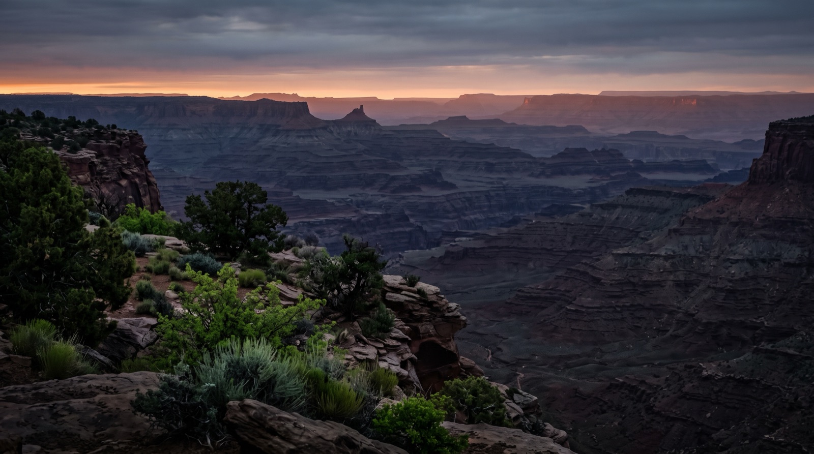 A rugged desert canyon rim