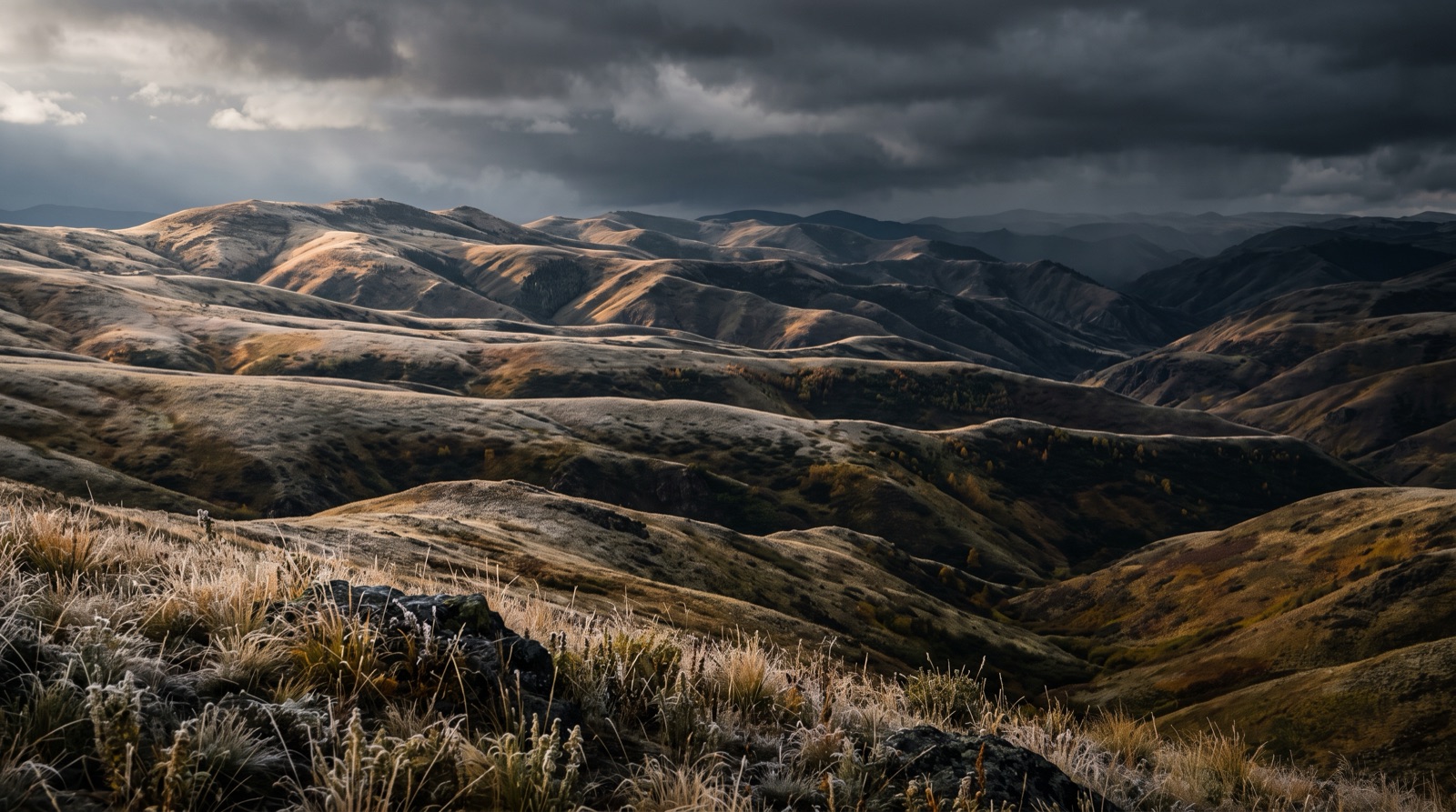 Grassland foothills under storm light