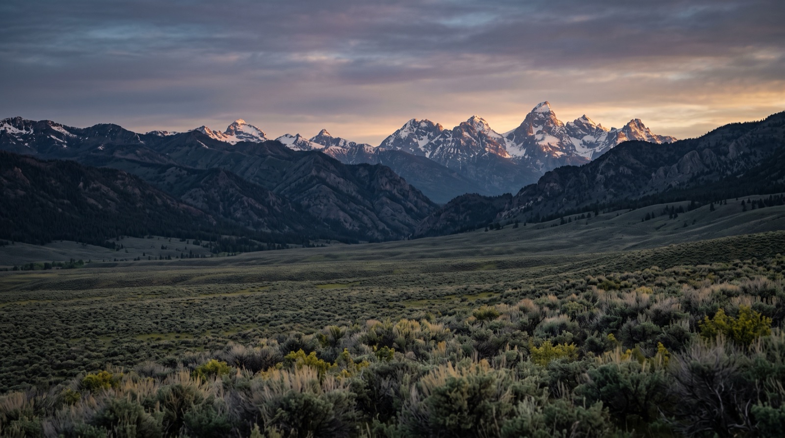 A sagebrush plain below distant snow peaks