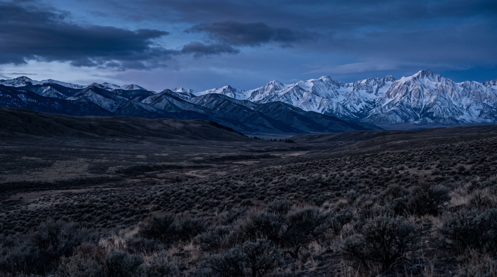 A sagebrush plain below distant snow peaks